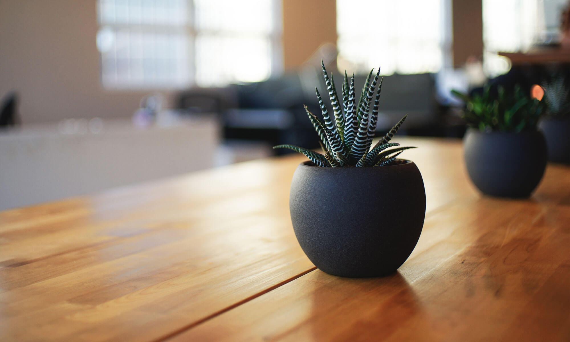 Premium Distributor in the Nordics | Vendora Nordic